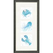 Load image into Gallery viewer, Marine Medley Blue