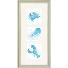Load image into Gallery viewer, Marine Medley Blue