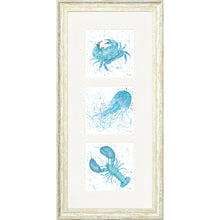 Load image into Gallery viewer, Marine Medley Blue