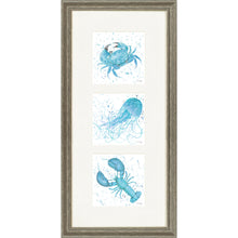 Load image into Gallery viewer, Marine Medley Blue