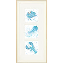 Load image into Gallery viewer, Marine Medley Blue