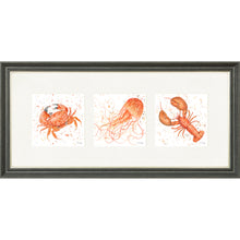 Load image into Gallery viewer, Marine Medley