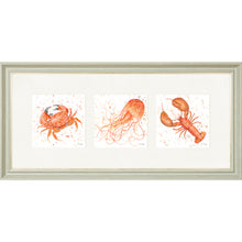 Load image into Gallery viewer, Marine Medley