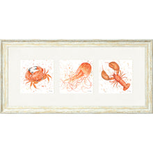 Load image into Gallery viewer, Marine Medley