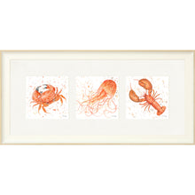 Load image into Gallery viewer, Marine Medley