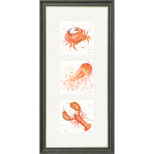 Load image into Gallery viewer, Marine Medley