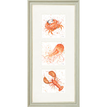 Load image into Gallery viewer, Marine Medley