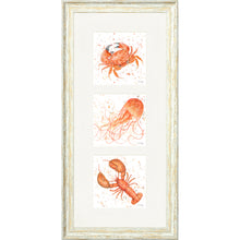 Load image into Gallery viewer, Marine Medley