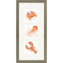 Load image into Gallery viewer, Marine Medley