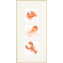 Load image into Gallery viewer, Marine Medley