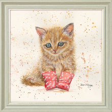 Load image into Gallery viewer, Marmalade