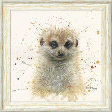Load image into Gallery viewer, Maurice