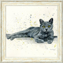 Load image into Gallery viewer, Midnight