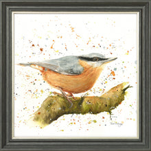 Load image into Gallery viewer, Nesbit