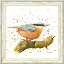 Load image into Gallery viewer, Nesbit