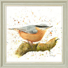 Load image into Gallery viewer, Nesbit