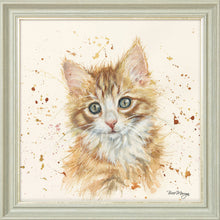 Load image into Gallery viewer, Nutmeg