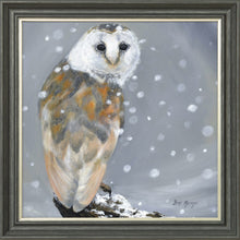 Load image into Gallery viewer, Ogilvie