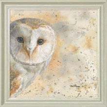 Load image into Gallery viewer, Olive