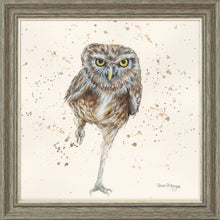 Load image into Gallery viewer, Oliver