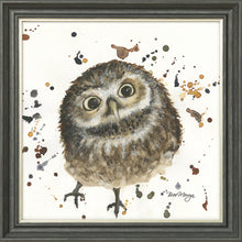 Load image into Gallery viewer, Orson