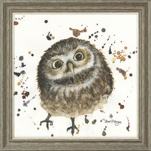 Load image into Gallery viewer, Orson