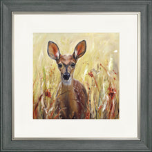 Load image into Gallery viewer, Phoebe