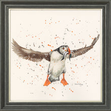 Load image into Gallery viewer, Piper