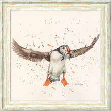Load image into Gallery viewer, Piper