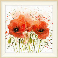 Load image into Gallery viewer, Poppies