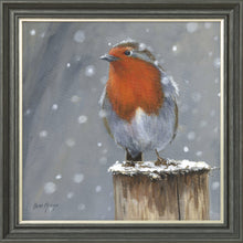 Load image into Gallery viewer, Reggie