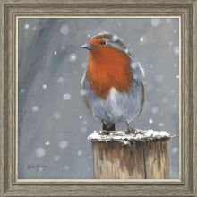 Load image into Gallery viewer, Reggie