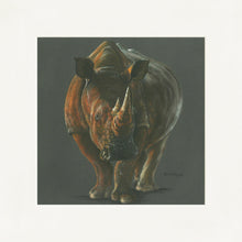 Load image into Gallery viewer, Rocco Grey