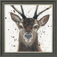 Load image into Gallery viewer, Samson
