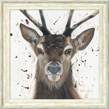 Load image into Gallery viewer, Samson