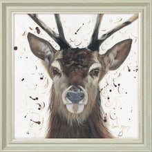 Load image into Gallery viewer, Samson
