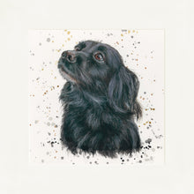 Load image into Gallery viewer, Sasha with Splats