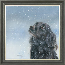 Load image into Gallery viewer, Sasha