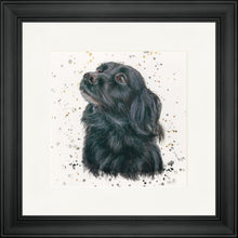 Load image into Gallery viewer, Sasha with Splats