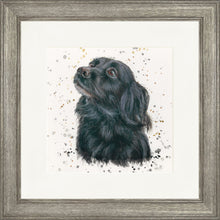 Load image into Gallery viewer, Sasha with Splats
