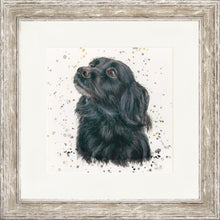Load image into Gallery viewer, Sasha with Splats
