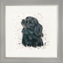 Load image into Gallery viewer, Sasha with Splats