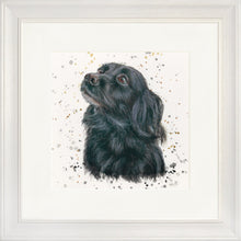 Load image into Gallery viewer, Sasha with Splats