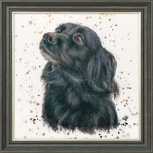Load image into Gallery viewer, Sasha with Splats