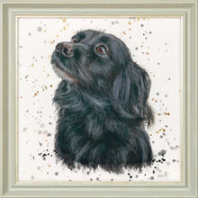 Load image into Gallery viewer, Sasha with Splats