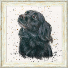 Load image into Gallery viewer, Sasha with Splats