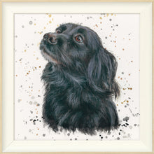 Load image into Gallery viewer, Sasha with Splats