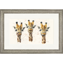 Load image into Gallery viewer, Sassy Squad