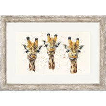 Load image into Gallery viewer, Sassy Squad