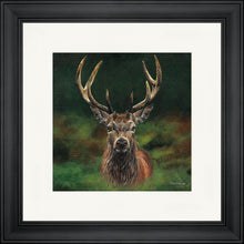 Load image into Gallery viewer, Scott